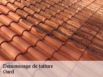 Demoussage de toiture Gard 