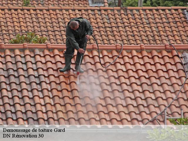 Demoussage de toiture Gard 