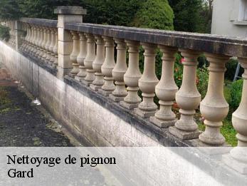 Nettoyage de pignon Gard