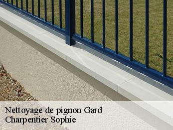 Nettoyage de pignon Gard