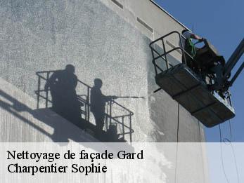 Nettoyage de façade Gard