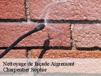 Nettoyage de façade aigremont-30350 Charpentier Sophie
