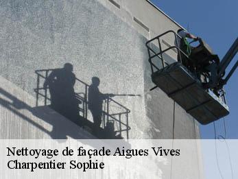 Nettoyage de façade  30670