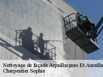 Nettoyage de façade  30700