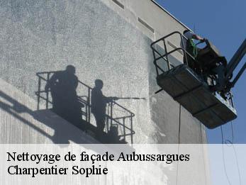 Nettoyage de façade  30190