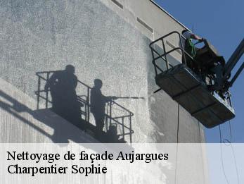 Nettoyage de façade  30250