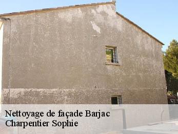 Nettoyage de façade