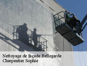 Nettoyage de façade  30127