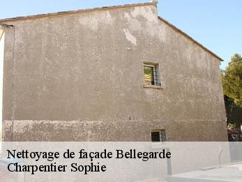 Nettoyage de façade