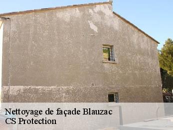 Nettoyage de façade