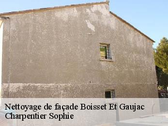 Nettoyage de façade