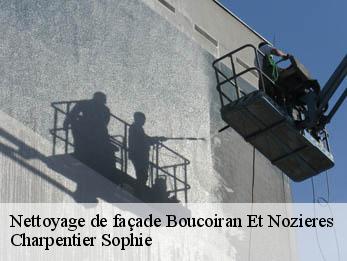 Nettoyage de façade  30190