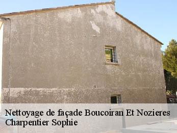 Nettoyage de façade