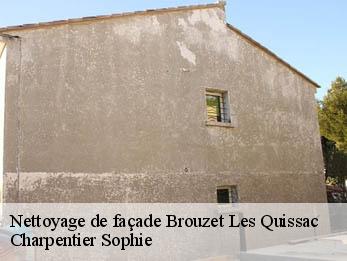 Nettoyage de façade