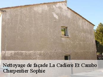 Nettoyage de façade