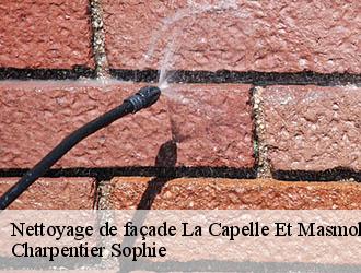 Nettoyage de façade  la-capelle-et-masmolene-30700 Charpentier Sophie