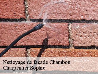 Nettoyage de façade  chambon-30450 Charpentier Sophie