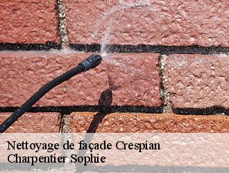 Nettoyage de façade  crespian-30260 Charpentier Sophie
