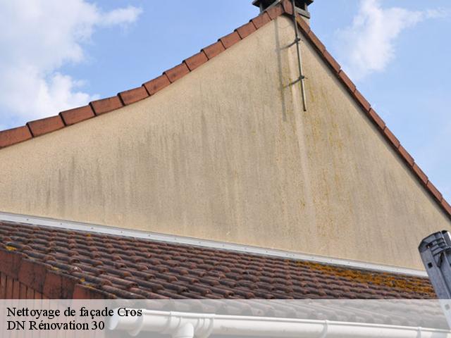Nettoyage de façade cros-30170 DN Rénovation 30
