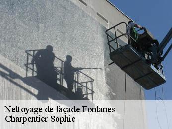 Nettoyage de façade  30250