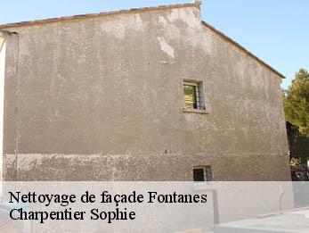 Nettoyage de façade