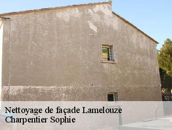 Nettoyage de façade