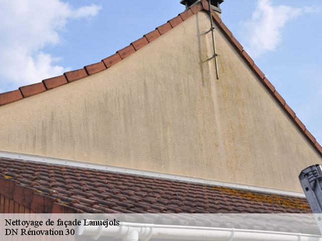 Nettoyage de façade  lanuejols-30750 DN Rénovation 30
