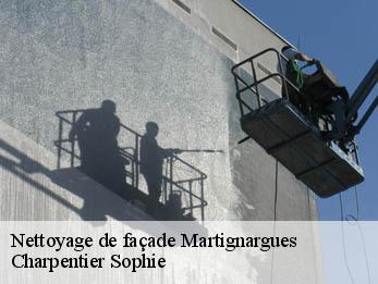 Nettoyage de façade 30360