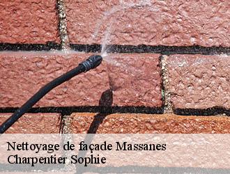 Nettoyage de façade  massanes-30350 Charpentier Sophie