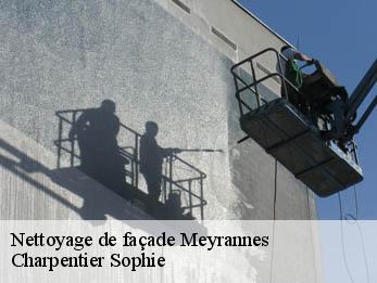 Nettoyage de façade 30410