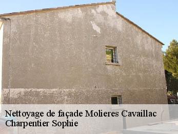 Nettoyage de façade