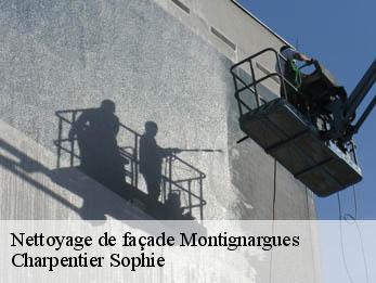 Nettoyage de façade  30190