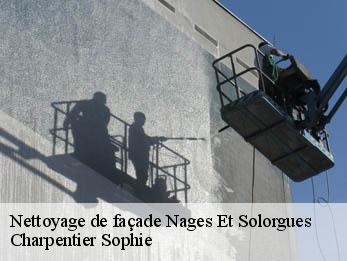 Nettoyage de façade  30114