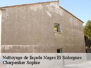 Nettoyage de façade