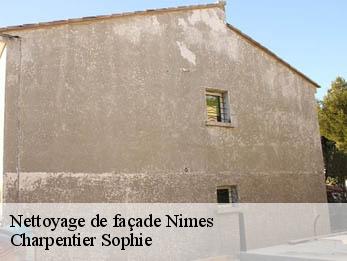 Nettoyage de façade