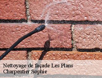Nettoyage de façade  les-plans-30340 Charpentier Sophie