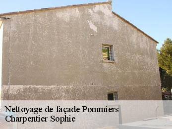 Nettoyage de façade
