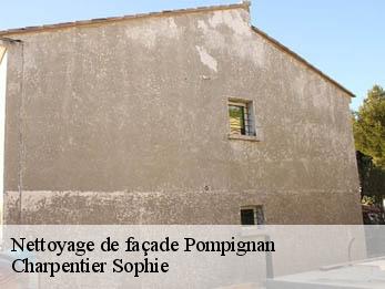 Nettoyage de façade