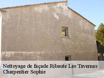 Nettoyage de façade