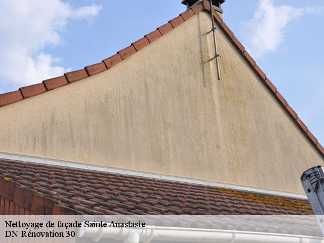 Nettoyage de façade  sainte-anastasie-30190 DN Rénovation 30