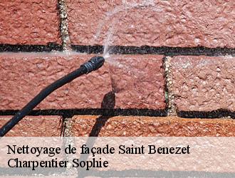 Nettoyage de façade  saint-benezet-30350 Charpentier Sophie