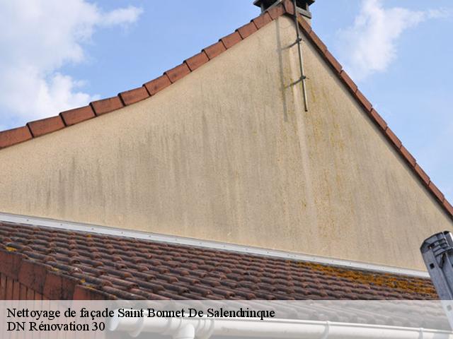 Nettoyage de façade  saint-bonnet-de-salendrinque-30460 DN Rénovation 30