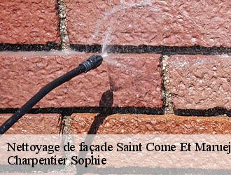 Nettoyage de façade  saint-come-et-maruejols-30870 Charpentier Sophie