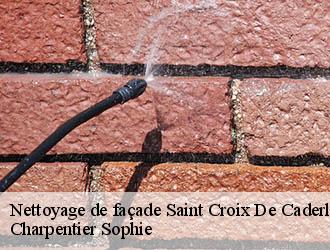 Nettoyage de façade  saint-croix-de-caderle-30460 Charpentier Sophie