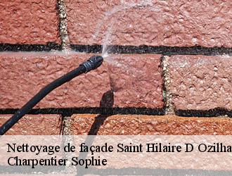 Nettoyage de façade saint-hilaire-d-ozilhan-30210 Charpentier Sophie