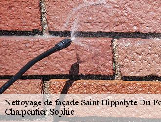Nettoyage de façade  saint-hippolyte-du-fort-30170 Charpentier Sophie