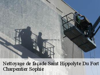 Nettoyage de façade  30170