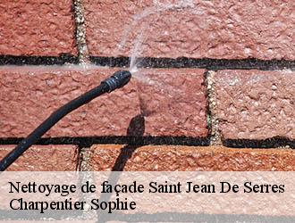 Nettoyage de façade  saint-jean-de-serres-30350 Charpentier Sophie