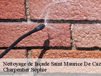 Nettoyage de façade  saint-maurice-de-cazevieille-30360 Charpentier Sophie