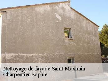 Nettoyage de façade